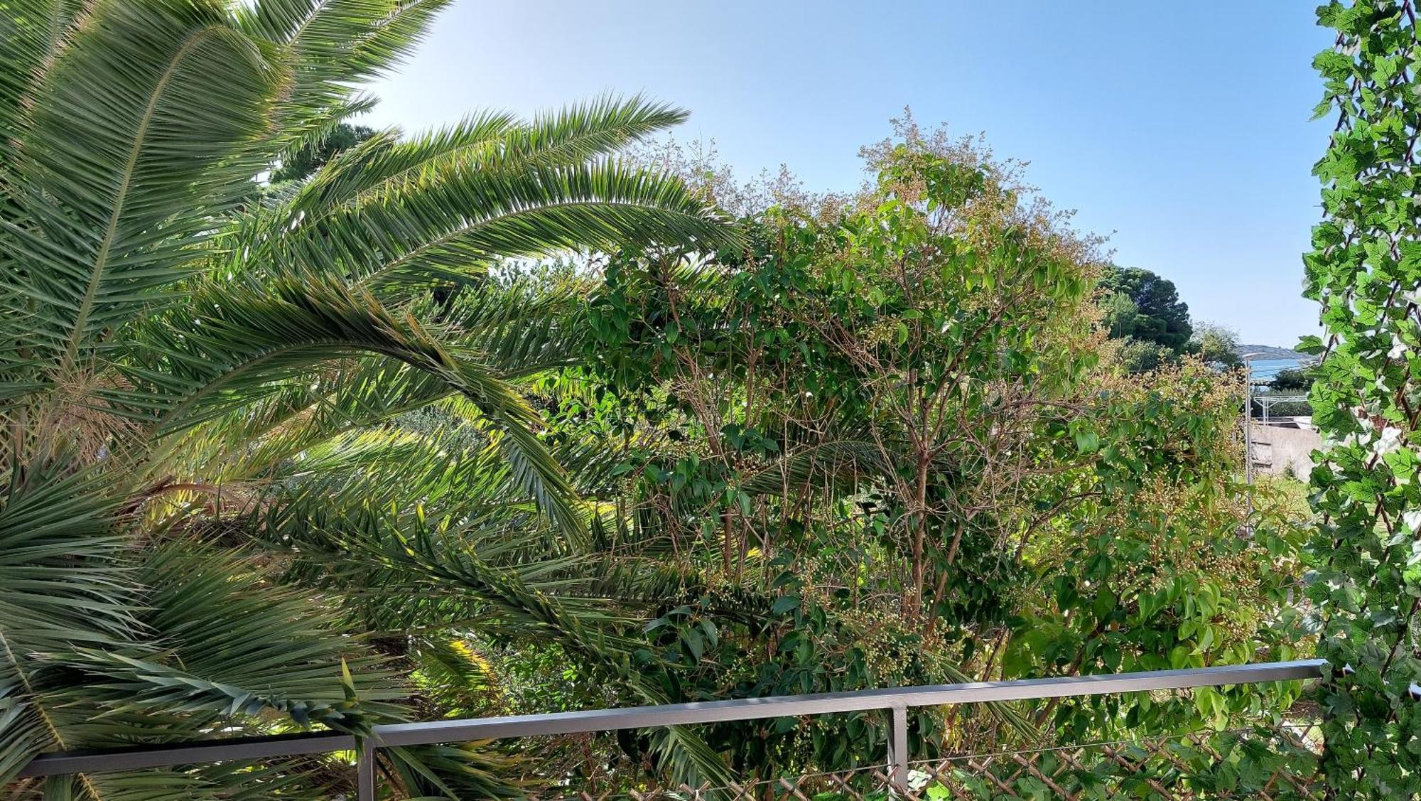 Refresh Boutique Apartments Vodice Rum bild